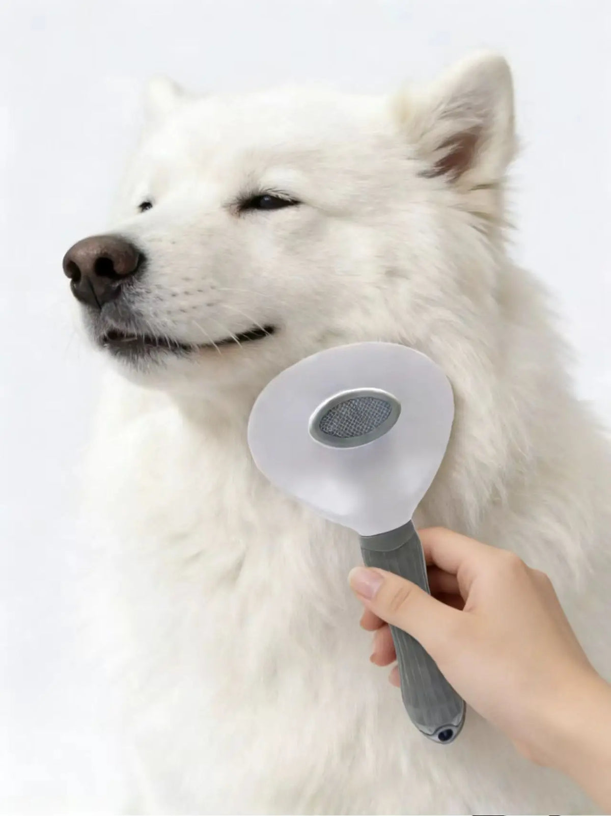 Cepillo Autolimpiable para Perros y Gatos – Elimina el Pelo Fácilmente