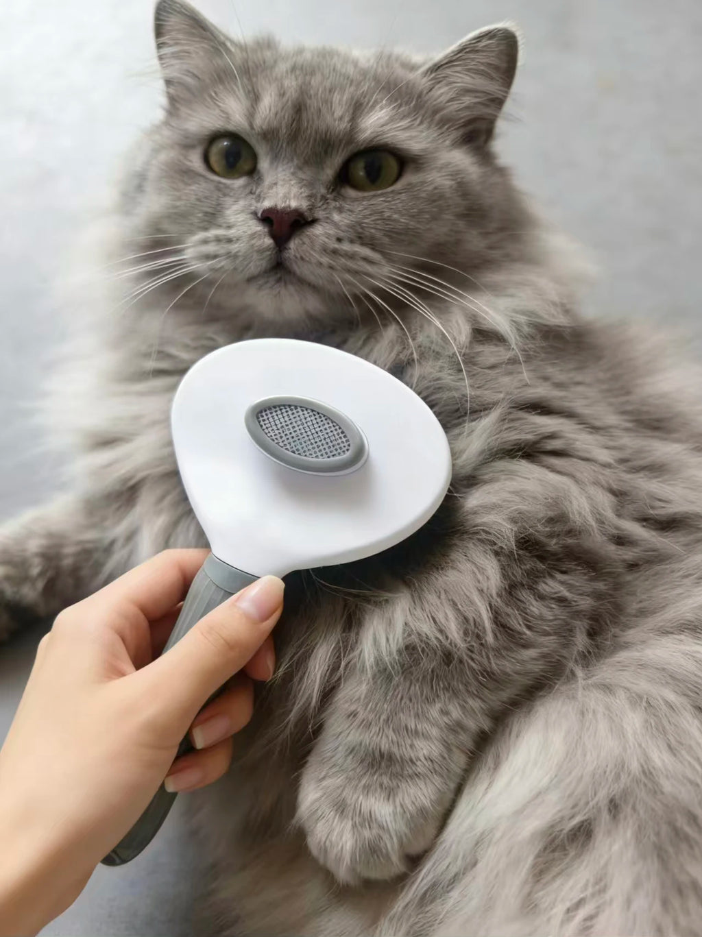 Cepillo Autolimpiable para Perros y Gatos – Elimina el Pelo Fácilmente
