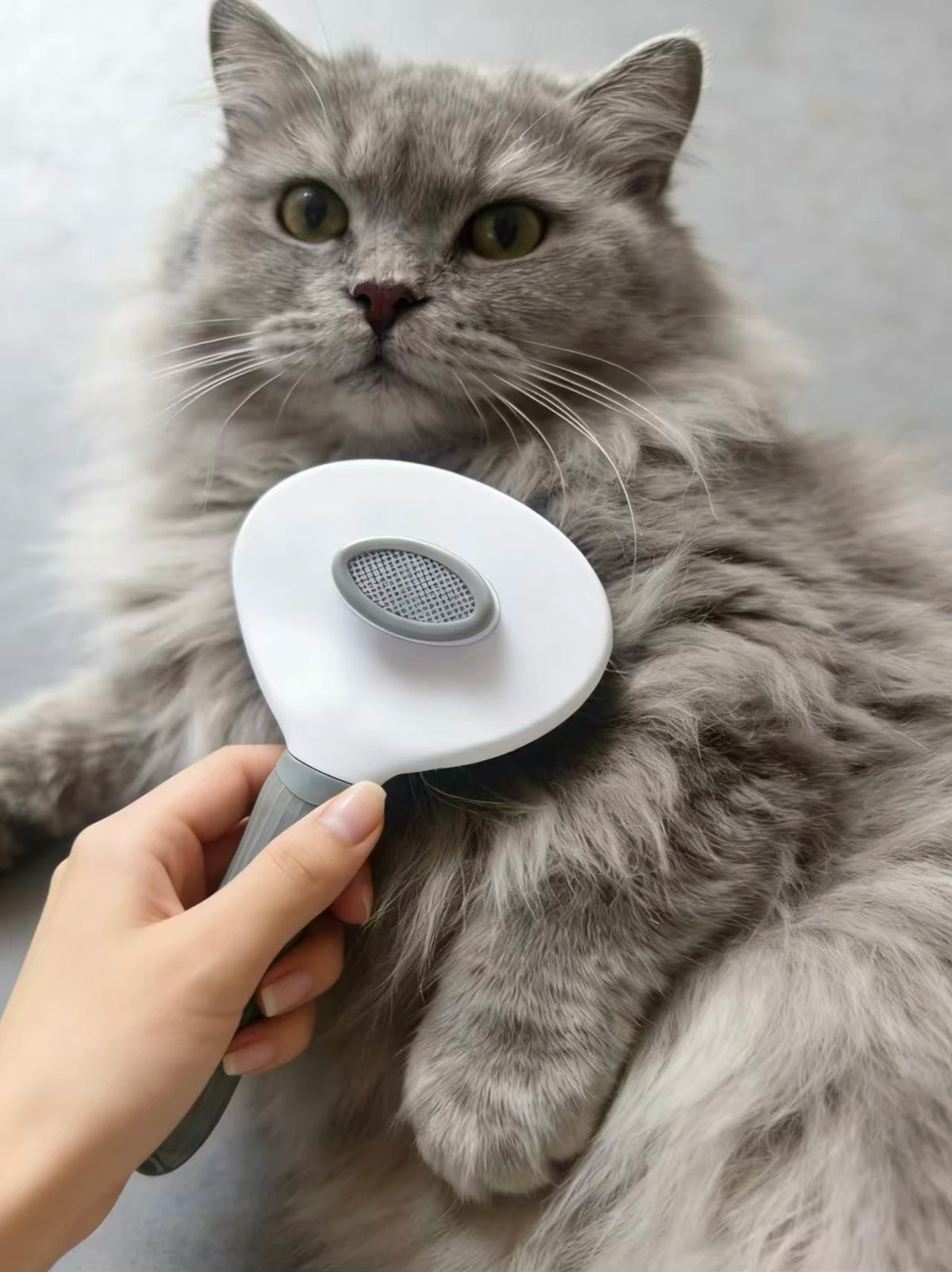 Cepillo Autolimpiable para Perros y Gatos – Elimina el Pelo Fácilmente