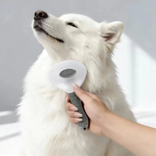 Cepillo Autolimpiable para Perros y Gatos – Elimina el Pelo Fácilmente